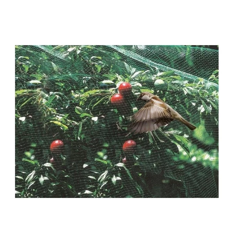 Plant Protection Net 8m X 4m