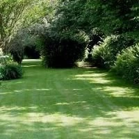 Shady Places Grass Seed 20kg