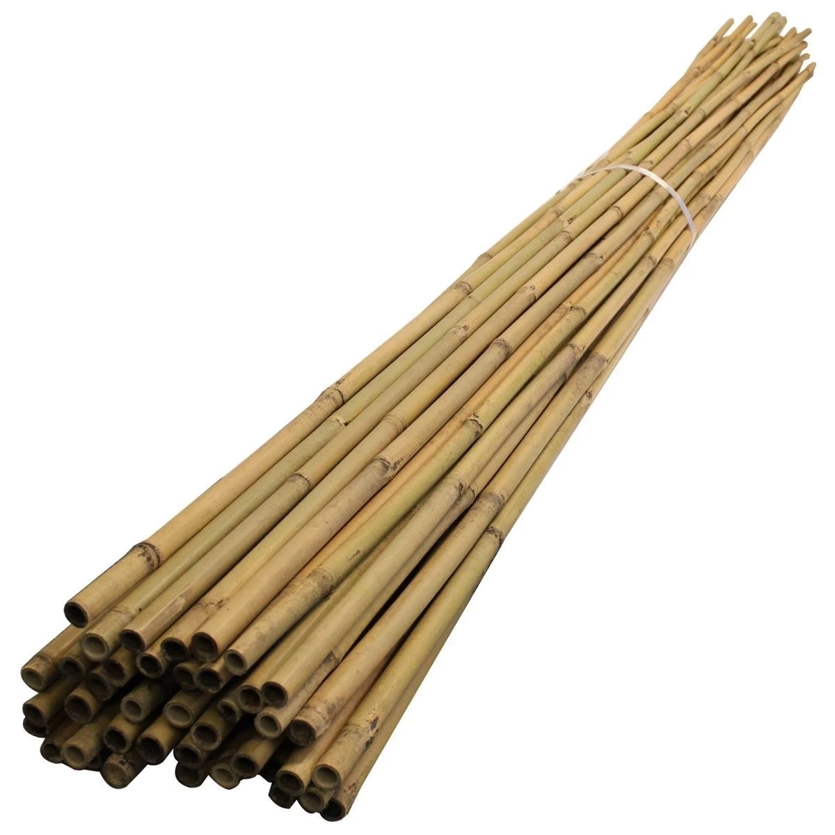 8ft Bamboo Canes - Pack Of 10