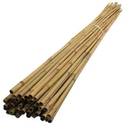 8ft Bamboo Canes - Pack Of 125