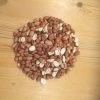 Acorn Peanuts 4kg